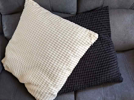 Photo of free Cushions (Freehold LA1) #1