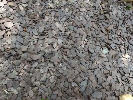 Photo of free Slate chippings (Strawberry Hill TW1) #1