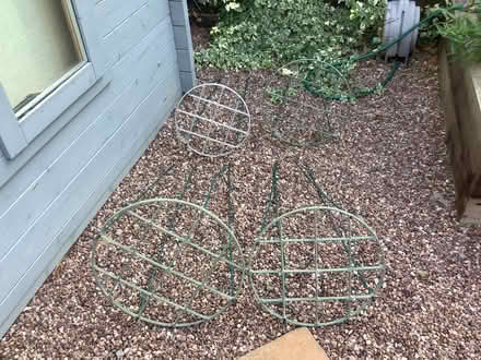 Photo of free Four plant supports (Gunthorpe) #1