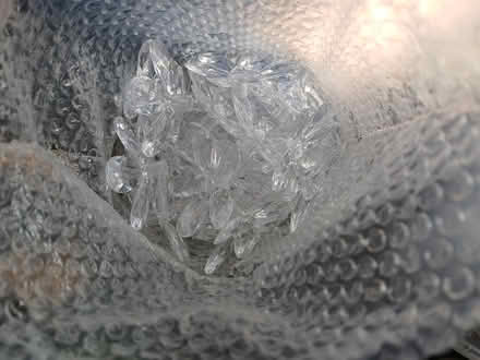 Photo of free Clear plastic flowers (Dawlish) #4