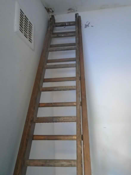 Photo of free Wooden ladder (Broomhill S10) #1