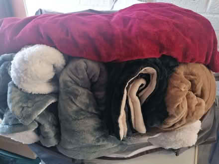 Photo of free Blankets (Northway OX3) #2