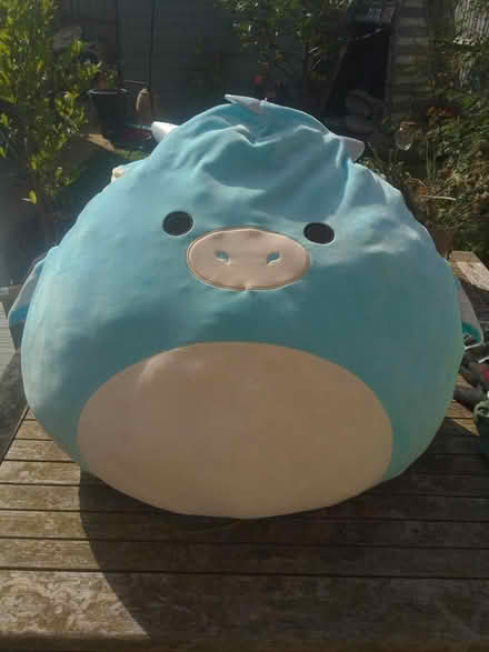 Photo of free Giant Squishmallow (Deddington OX15) #1