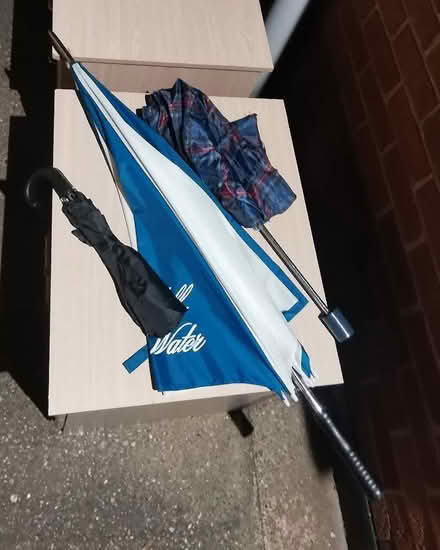 Photo of free Mix of umbrellas (DE24) #1