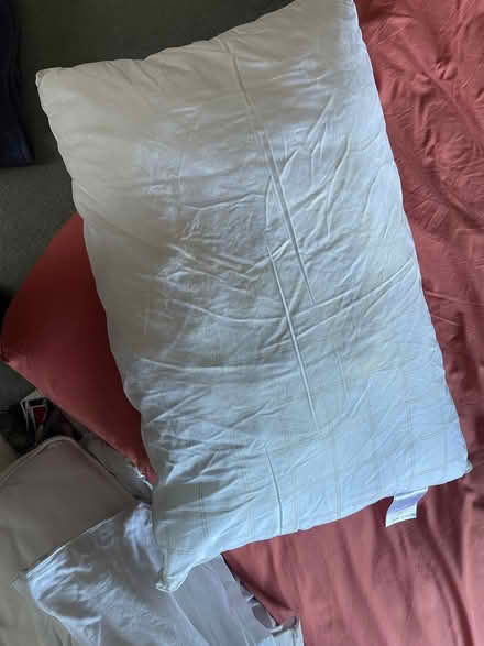 Photo of free pillows (Shotover OX3) #1