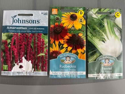 Photo of free Assorted seed (Congleton CW12) #1