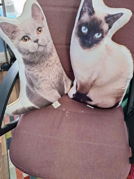 Photo of free Cushions. (Gillingham ME7) #2