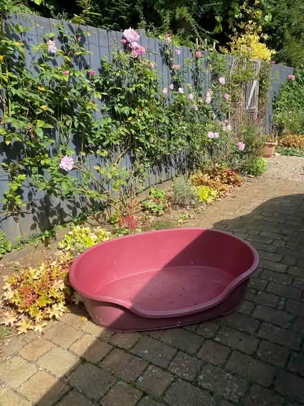 Photo of free Large plastic dog basket (OX28, Witney) #1
