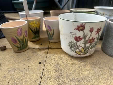 Photo of free Plant pots (Blyth NE24) #2