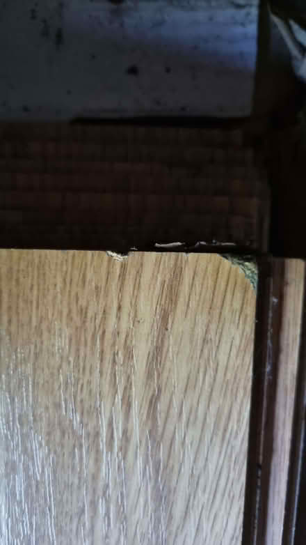 Photo of free Flooring (Stockton Heath WA4) #1