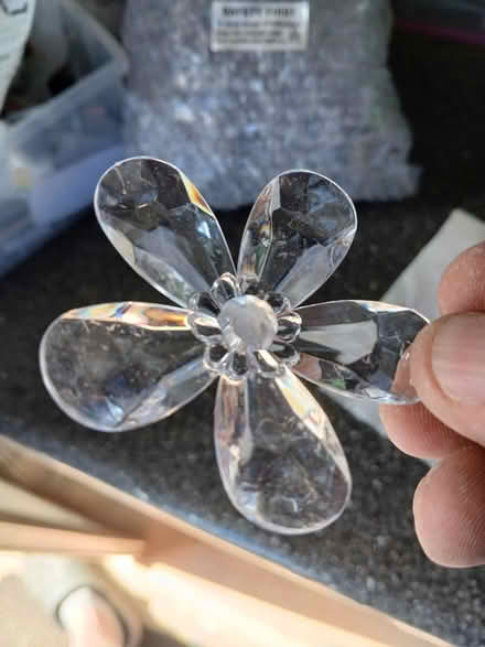 Photo of free Clear plastic flowers (Dawlish) #1