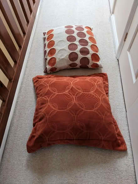 Photo of free Cushions (Leybourne) #3