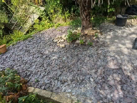 Photo of free Slate chippings (Strawberry Hill TW1) #2