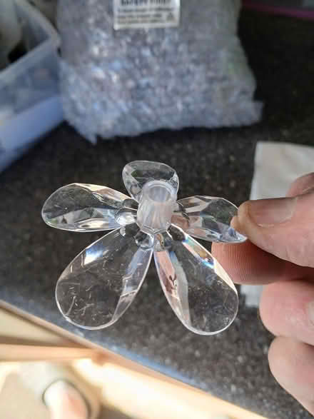 Photo of free Clear plastic flowers (Dawlish) #2