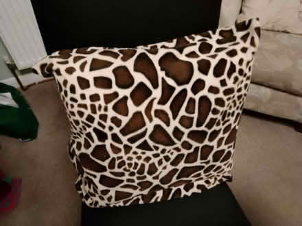 Photo of free Cushion (Cuffley EN6) #1