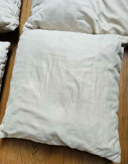 Photo of free Beige Couch Cushions / Pillows (TW9) #2