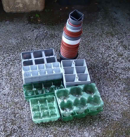 Photo of free plastic plants pots (Sharples BL1) #1