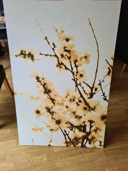 Photo of free Floral Canvas Picture (Pinner HA5) #1