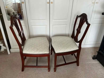 Photo of free Dining Chairs Upholstered Seats (Mudeford BH23) #2