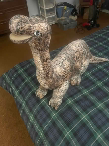 Photo of free Kids Dinosaur (rockaway nj) #1