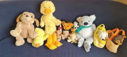 Photo of free Teddies (Blackrock, Co.Dublin) #1