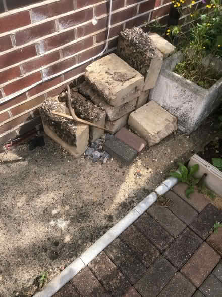 Photo of free Large bricks (Botley, Oxford, OX2) #1