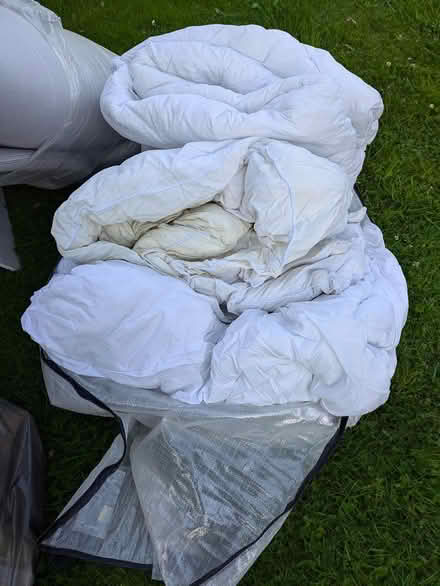Photo of free Duvets * 2 (Boghead) #1