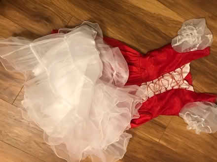 Photo of free Fancy dress, size M-L (Hemel Hempstead) #3