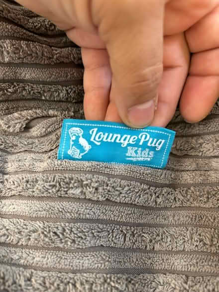 Photo of free Kids Bean Bags cover x2 (HA8) #4