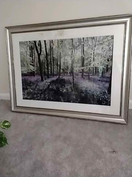Photo of free Large picture (Steyning BN44) #1