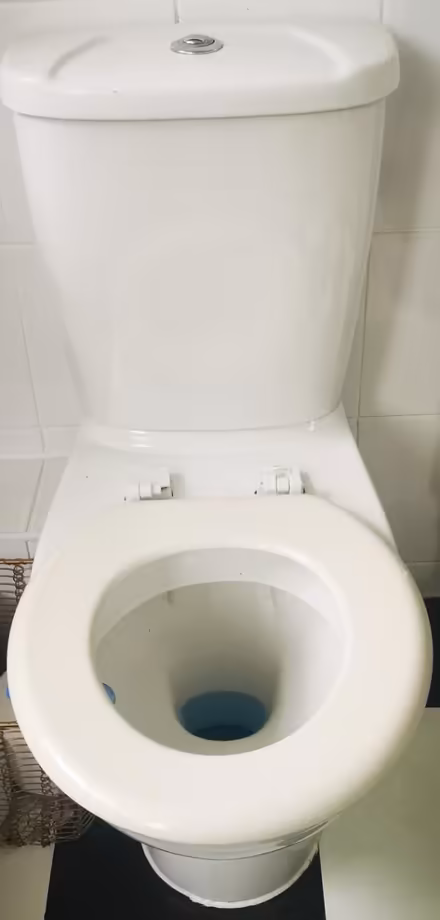 Photo of free En-Suite/Cloakroom Items (BN12) #3