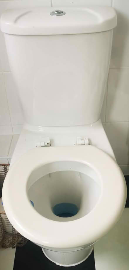 Photo of free En-Suite/Cloakroom Items (BN12) #3
