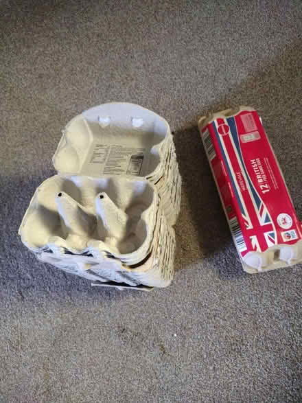 Photo of free Egg cartons (Uxbridge UB10) #1