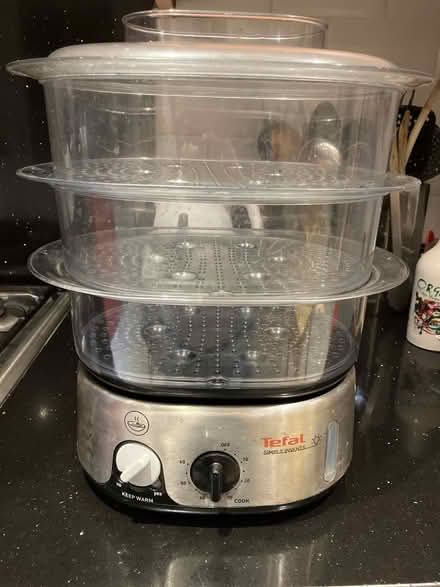 Photo of free Tefal steamer (Courthouse Road, N12) #1