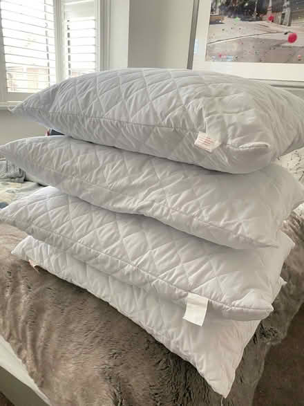 Photo of free 4 pillows (Ub7 7pd) #1