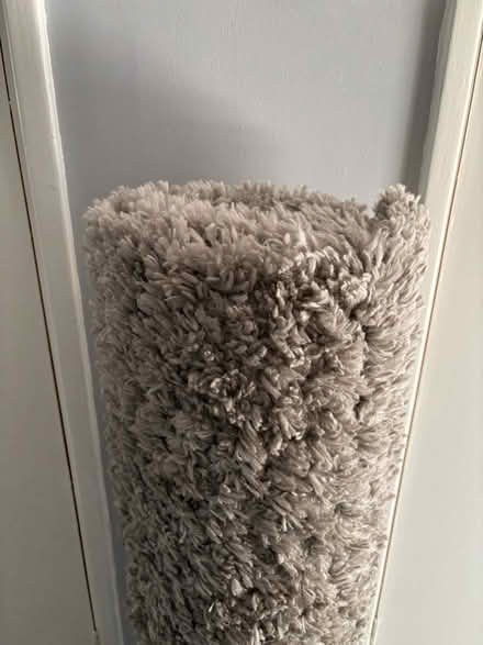 Photo of free Rug (L27) #1