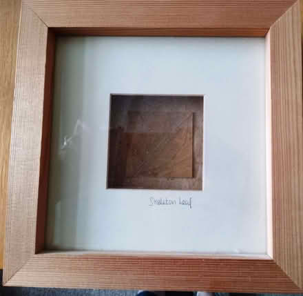 Photo of free Pair of Frames (Cuffley EN6) #1