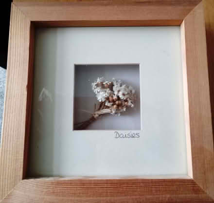 Photo of free Pair of Frames (Cuffley EN6) #2
