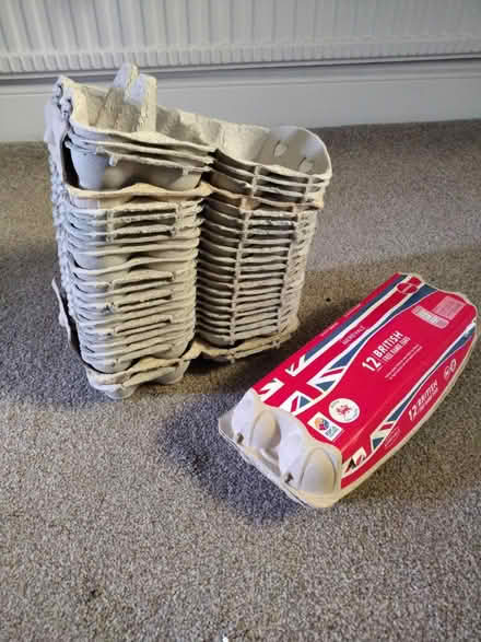 Photo of free Egg cartons (Uxbridge UB10) #2