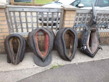 Photo of free Four vintage horse collars (Patchway BS34) #1