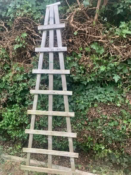 Photo of free Trellis (SG5) #1