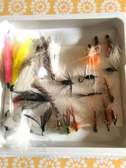 Photo of free Fishing flies (St Albans) #1