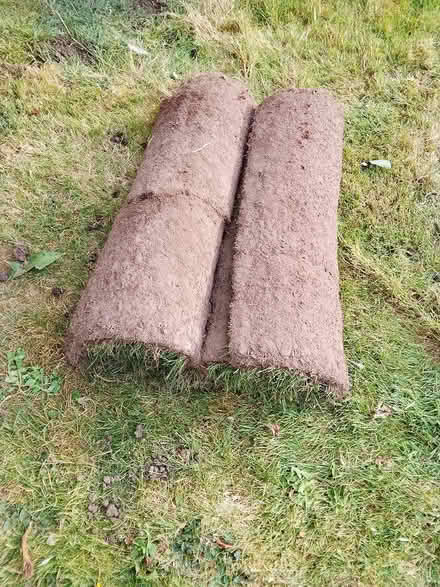 Photo of free Turf (Moreton Hall BSE) #1