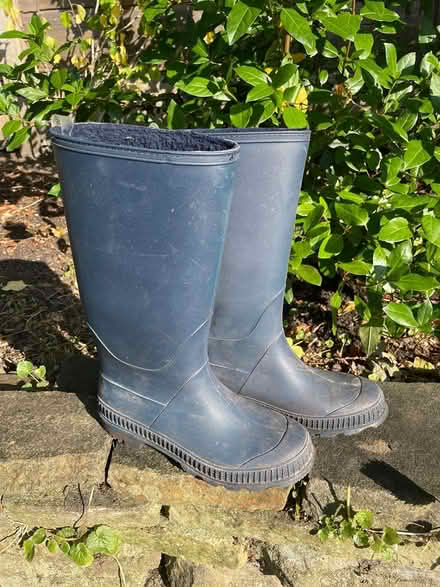 Photo of free Wellington boots Size 4 lined (WA15) #1