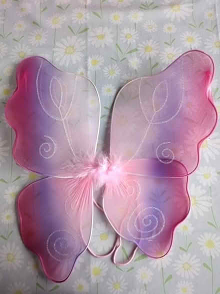 Photo of free Fairy wings (Seaford BN25) #1