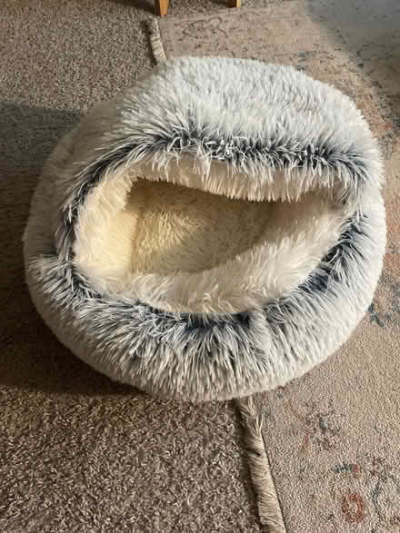 Photo of free Cat/small dog bed (West Chester) #1