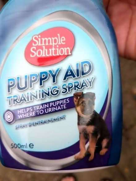 Photo of free Dog accessories (Earley RG6) #1