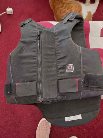 Photo of free Horse riding body protector, ladies 14+- (Binley CV3) #3