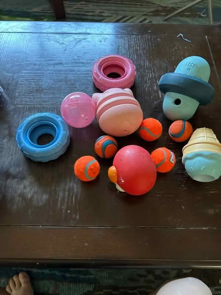 Photo of free Dog toys (Lakewood area) #1