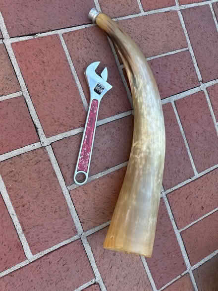 Photo of free Horn horn (West Beverly Hills) #2